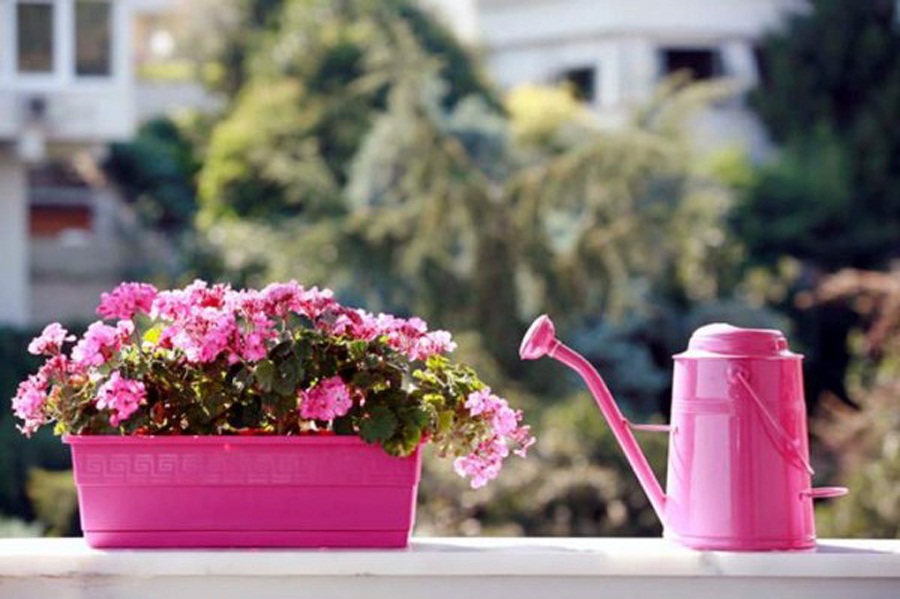 8.tips for apartment balcony garden 600x399 1 211721
