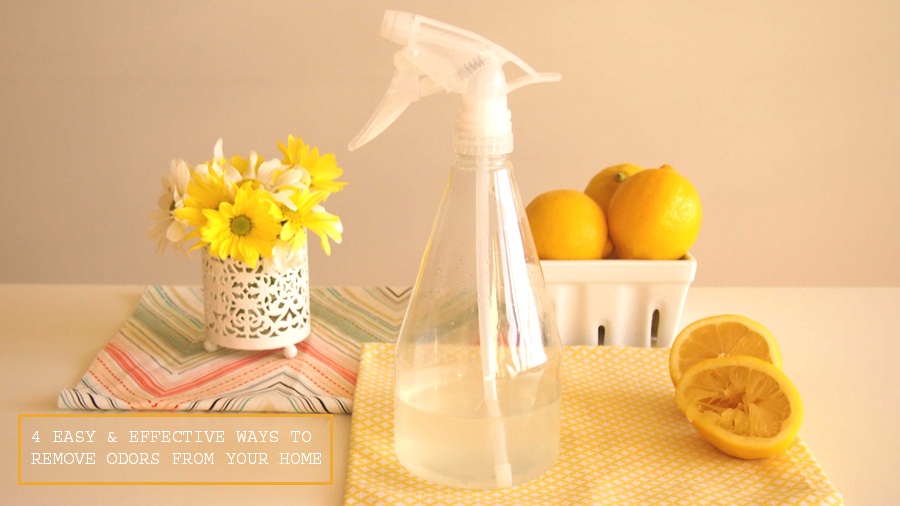 4 easy and effective ways to remove odors 225693