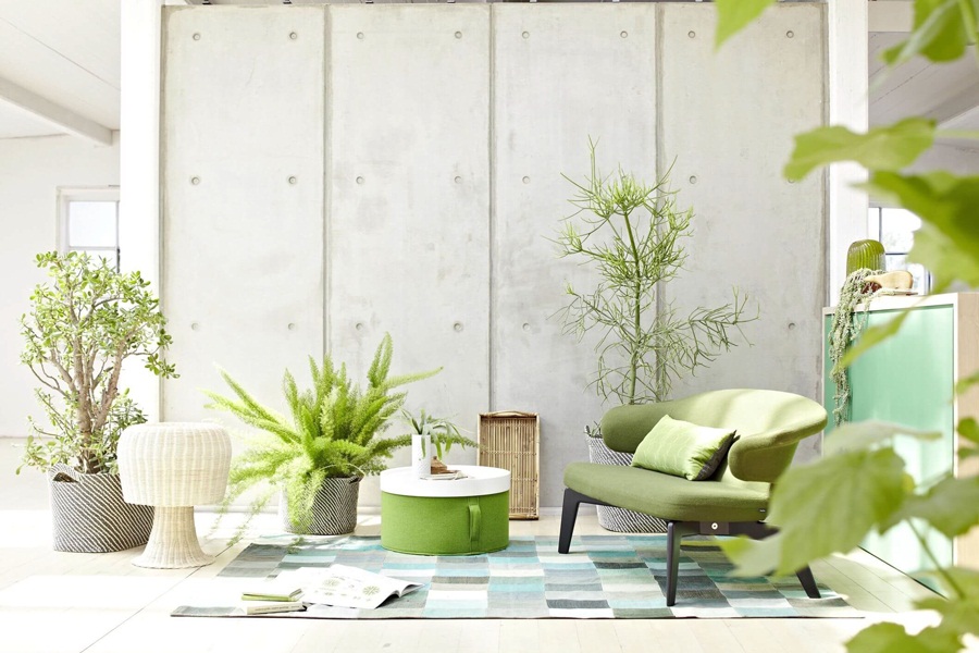 serene home decor 263400