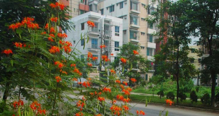 bti blog
