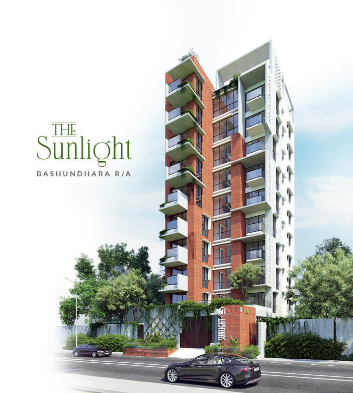 the sunlight 896714
