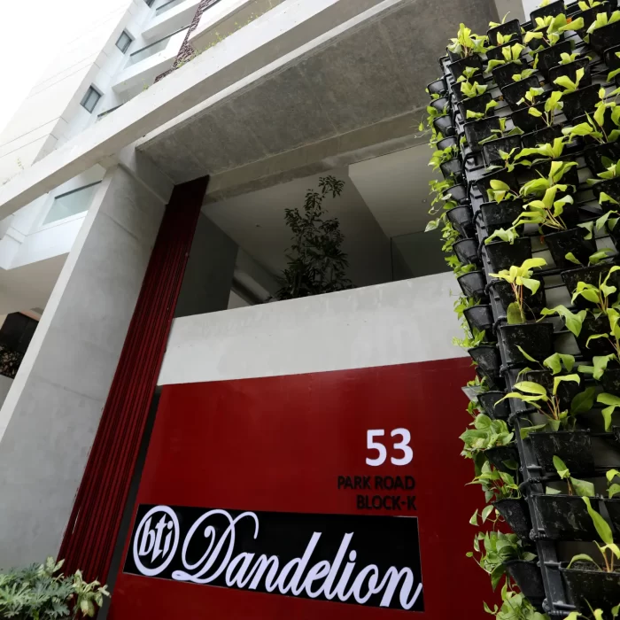 dandelion baridhara 2023 871943